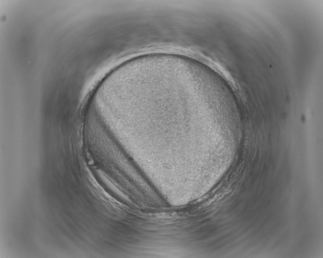 X0000058781504200510211735