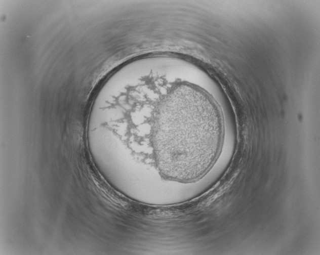 X0000058781505200510211735