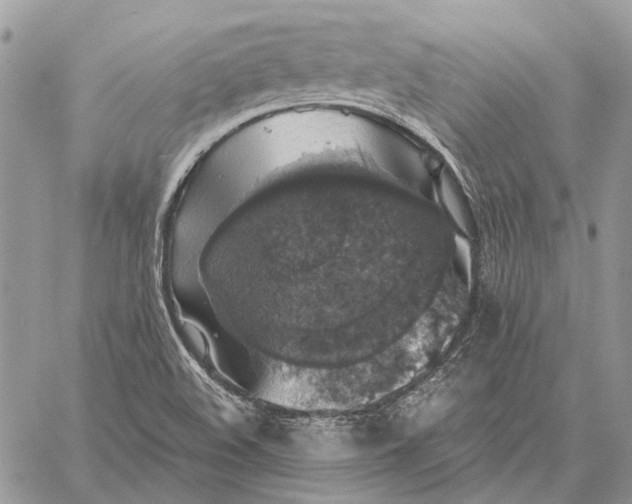 X0000058781508200510211735