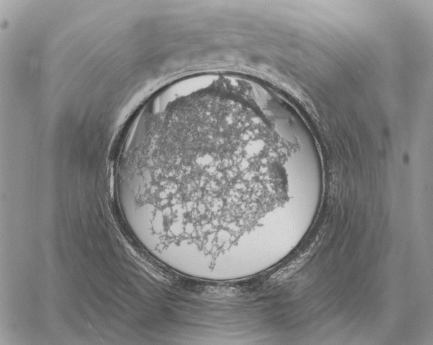 X0000058781509200510211735