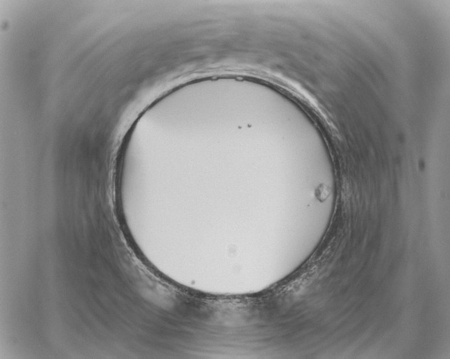 X0000058781512200510211735