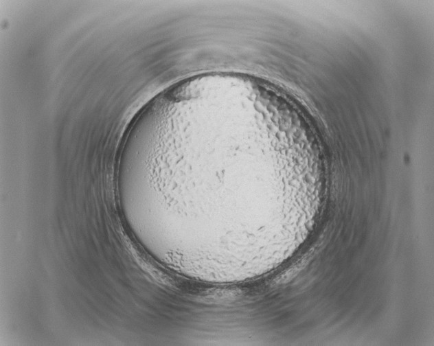 X0000058781513200510211735