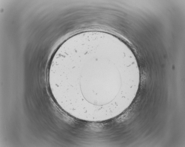 X0000058781514200510211735