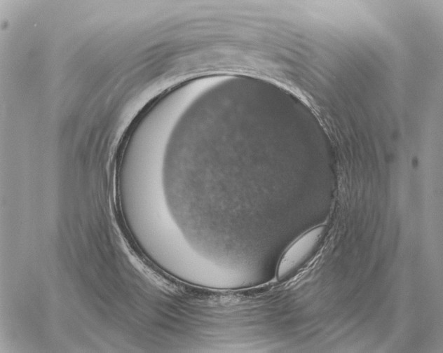 X0000058781515200510211735