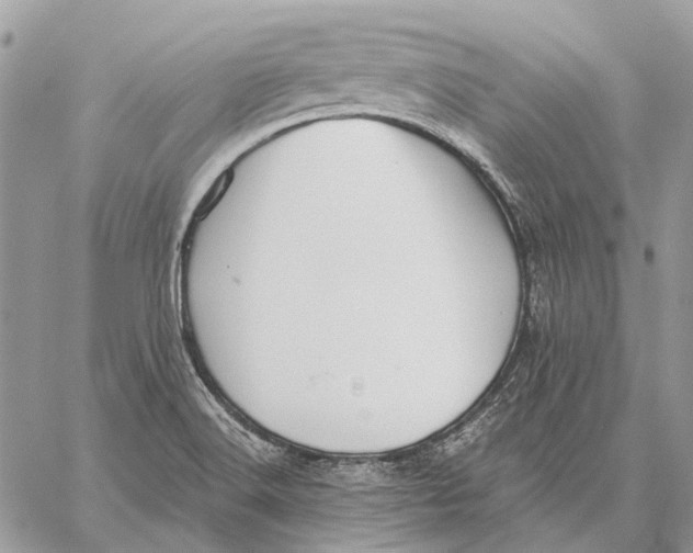 X0000058781516200510211735