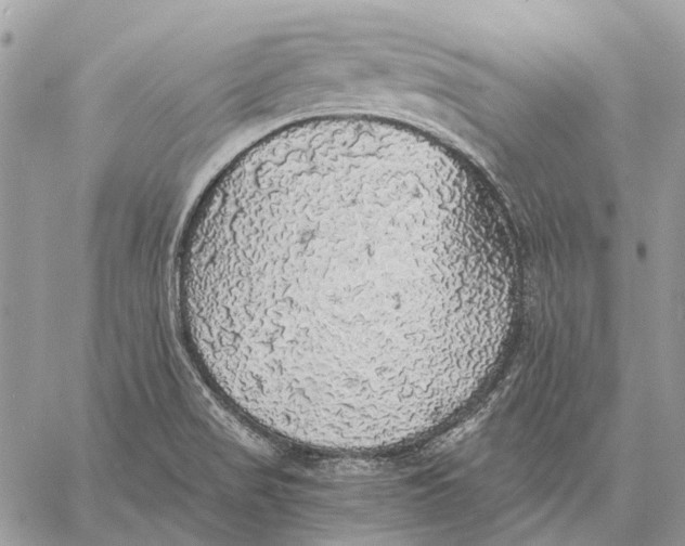 X0000058781517200510211735