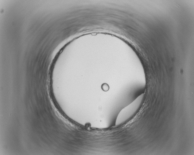 X0000058781518200510211735