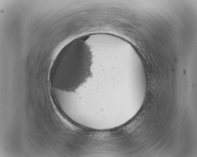 X0000058781519200510211735