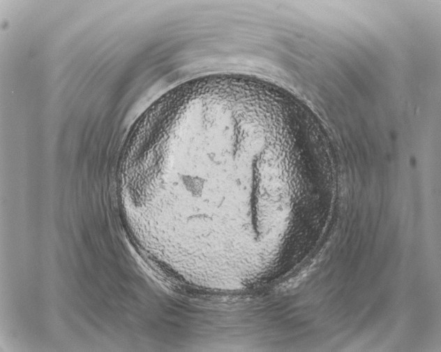 X0000058781521200510211735