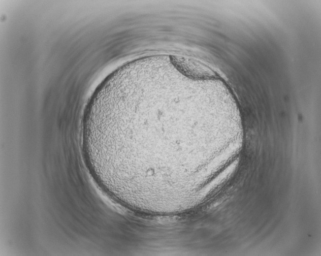 X0000058781523200510211735