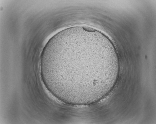 X0000058781526200510211735