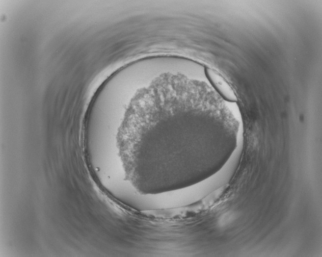 X0000058781527200510211735