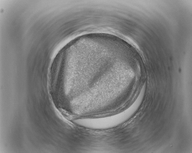 X0000058781528200510211735