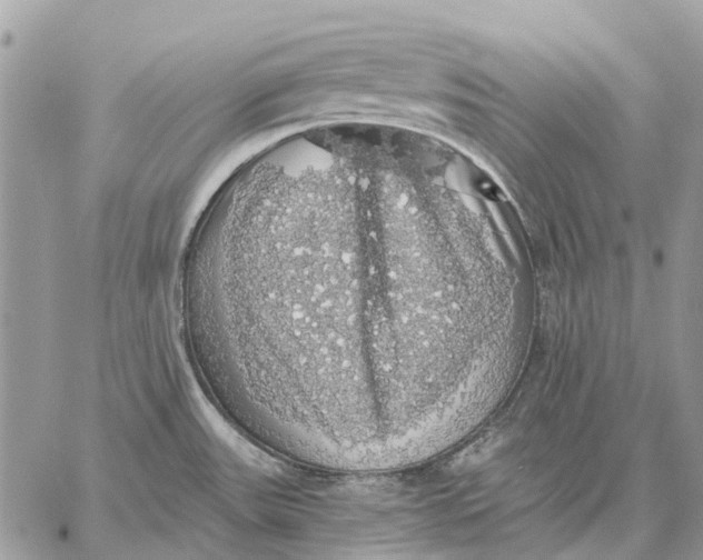 X0000058781531200510211735