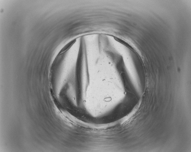 X0000058781532200510211735