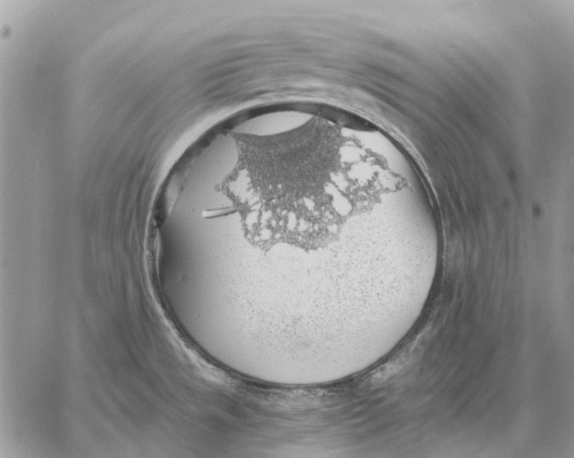 X0000058781533200510211735