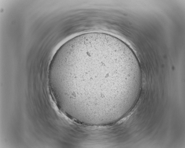 X0000058781534200510211735