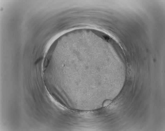 X0000058781535200510211735