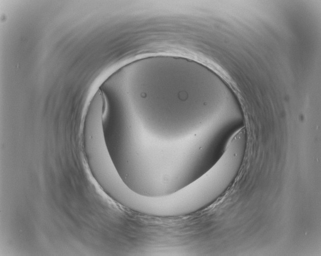 X0000058781536200510211735