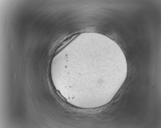 X0000058780001200510282023