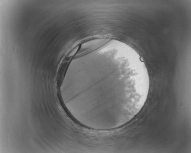 X0000058780002200510282023