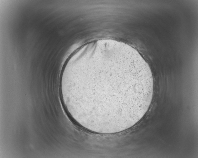 X0000058780003200510282023