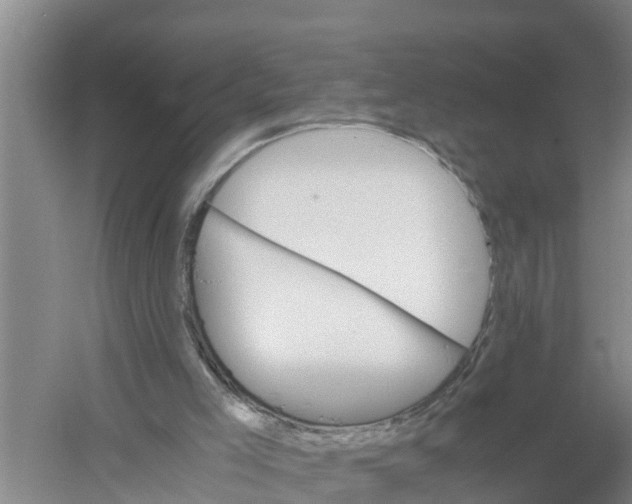 X0000058780005200510282023