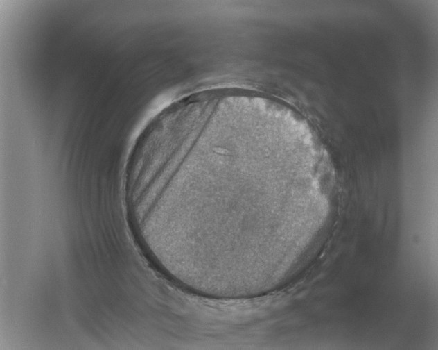 X0000058780006200510282023