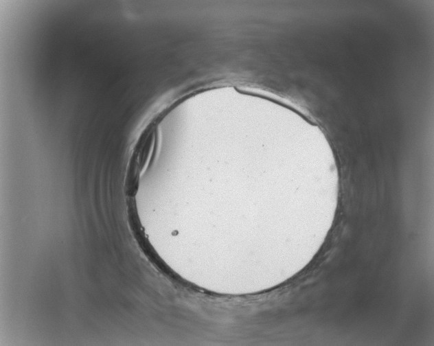 X0000058780007200510282023