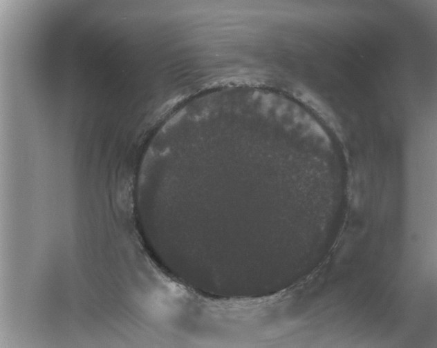 X0000058780009200510282023