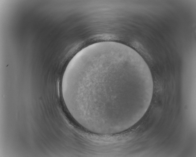 X0000058780014200510282023