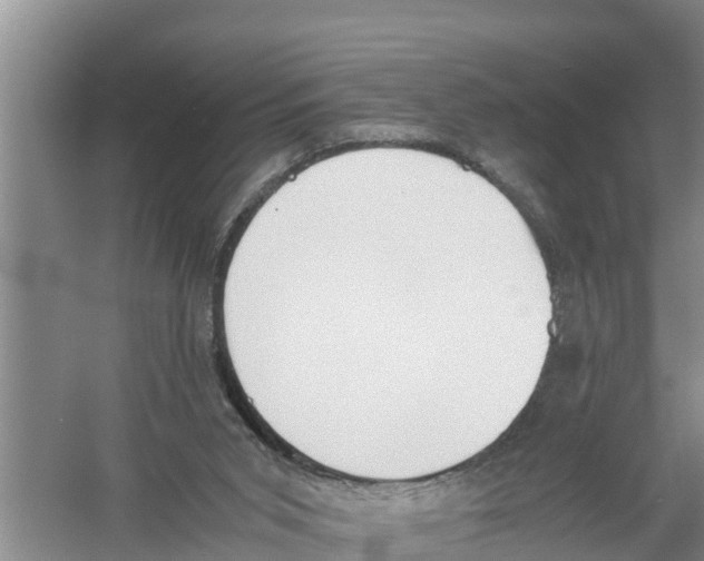 X0000058780015200510282023