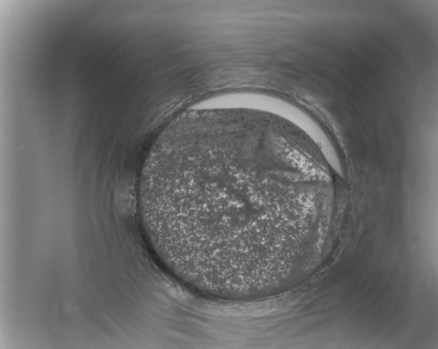 X0000058780017200510282023