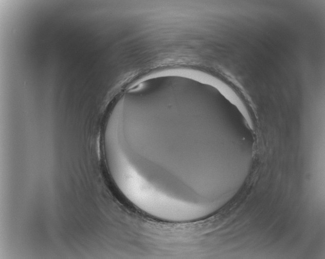 X0000058780019200510282023