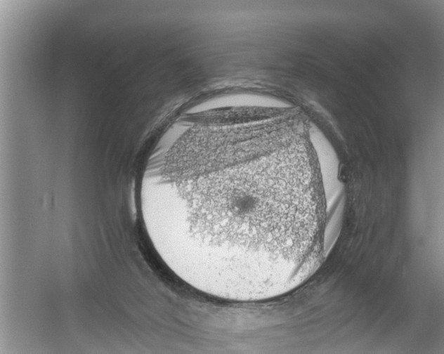 X0000058780020200510282023