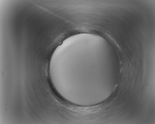 X0000058780023200510282023