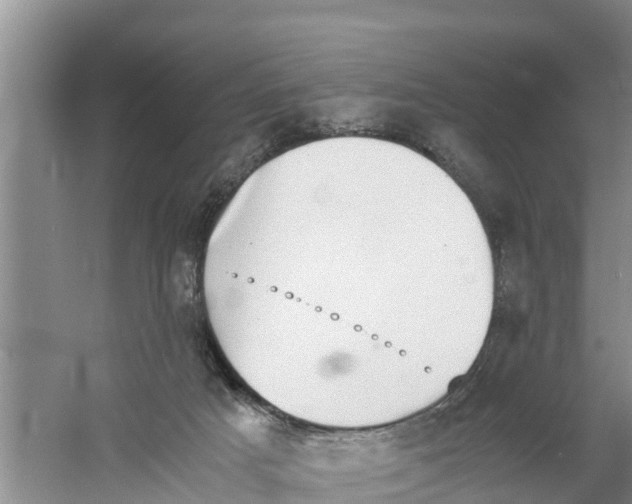 X0000058780025200510282023