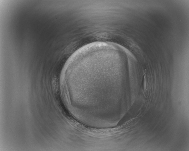 X0000058780029200510282023