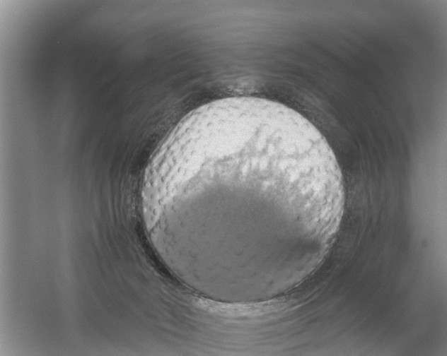 X0000058780030200510282023