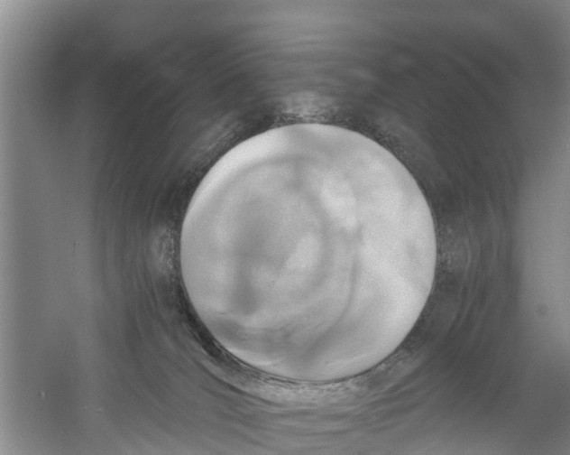 X0000058780036200510282022