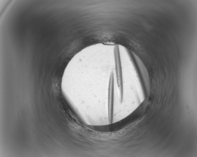 X0000058780037200510282022