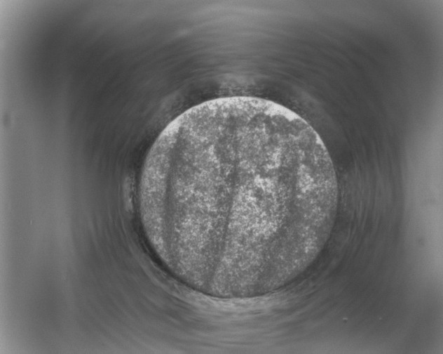 X0000058780038200510282022