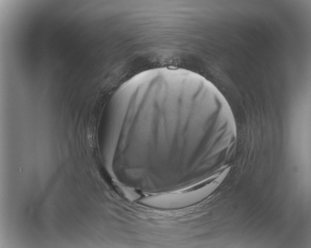 X0000058780039200510282022