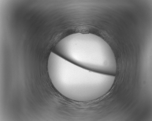 X0000058780041200510282022