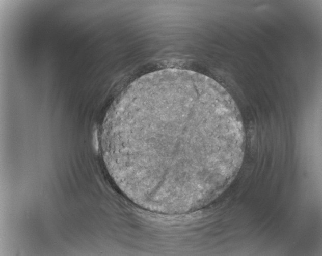 X0000058780042200510282022