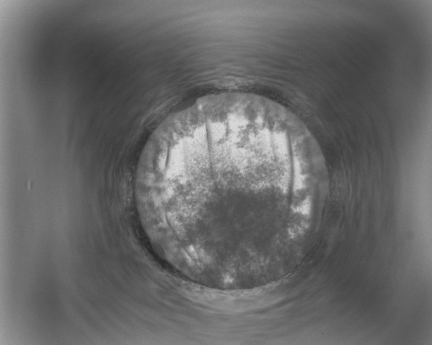 X0000058780043200510282022