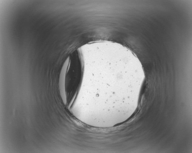 X0000058780045200510282022