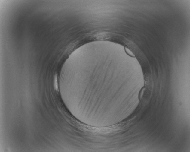 X0000058780046200510282022