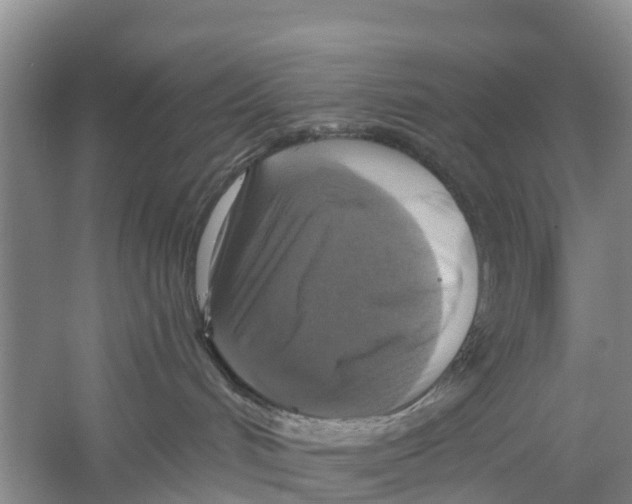 X0000058780048200510282022