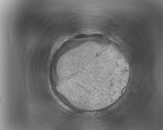 X0000058780049200510282021